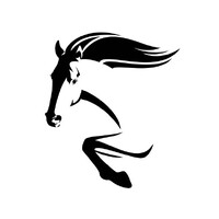 Mustang Building and Design Services logo - Similar company to Neu Ocean Technologies