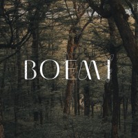 BOEMI logo - Similar company to Maison Les Énervés