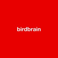 birdbrain logo - Similar company to Sportsrocket