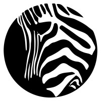 zeebravision logo - Similar company to Elevatevision