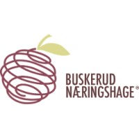 Buskerud Næringshage logo - Similar company to Telemark Næringshage As