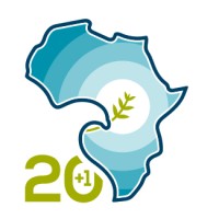 Africa Peacebuilding Institute logo - Similar company to Gbowee Peace Foundation Africa