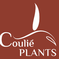 Coulié Plants logo - Similar company to L&J Biotech