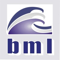 Beltship Management Limited logo - Similar company to Sierra Leone Cable