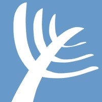 Temple Sinai Congregation of Toronto logo - Similar company to T.Line