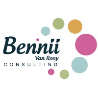 Bennii Van Rooy Consulting logo - Similar company to Fsq Solutions