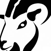 Capra Solutions logo - Similar company to Hello Ugo