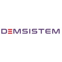 DEMSISTEM logo - Similar company to Sani-Tec