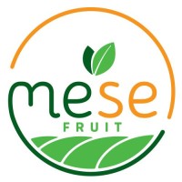 Mese Fruit logo - Similar company to Blue Ocean Development