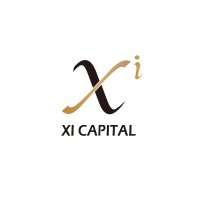 Xi Capital logo - Similar company to Snowstorm Inc
