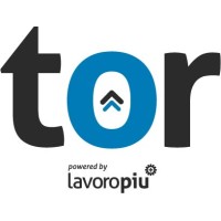 Tor - Recruitment & HR Consulting logo - Similar company to Vibro System Srl