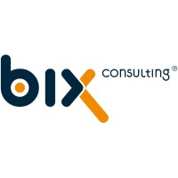 biX Consulting GmbH & Co. KG logo - Similar company to Codbex