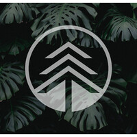 The Higher Path Collective logo - Similar company to Moglys Gurukul Llp