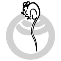 Luni Editrice logo - Similar company to Nem Editore