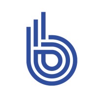 Blue Ripple Group logo - Similar company to Branchy Solution
