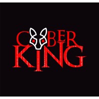 Cyber Qing logo - Similar company to Ctn Technologies