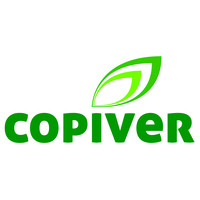 copiver logo - Similar company to Ap'Aips