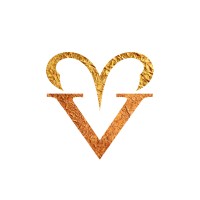 Standing Light logo - Similar company to Mmaviking.Com