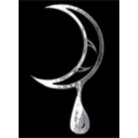 Dark Moon Entertainment logo - Similar company to First Flights Media Ltd