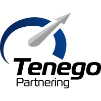 Tenego Partnering logo - Similar company to Topsec Cloud Solutions