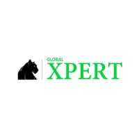 Global Xpert logo - Similar company to Global Xpert