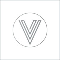 Venture Consulting Services logo - Similar company to Sparklab