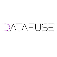 DataFuse logo - Similar company to Datafuse