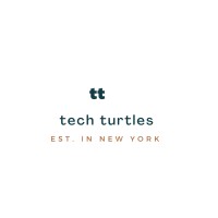 tech turtles logo - Similar company to Techturtle Solution