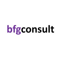 BFG Consult logo - Similar company to Wisefy