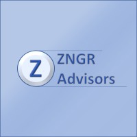 ZNGR Advisors logo - Similar company to Drs Consolidated Controls