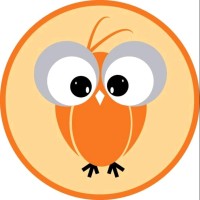 Crazy Owl SA logo - Similar company to Owl Solutions Sa