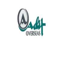 Adit Overseas logo - Similar company to Tiddlywinks Events