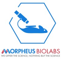 Morpheus Biolabs logo - Similar company to Crest Collaborative
