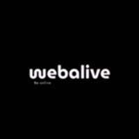 webalive logo - Similar company to Webalive