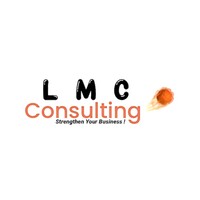 LMC Consulting logo - Similar company to Pro-Optic Limited