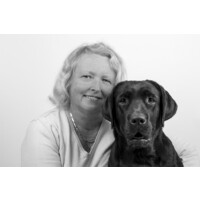 Kwispelcoach logo - Similar company to Appel En Eelman | Communicatie En Veel Meer ...