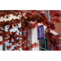 Carlow University Doctor of Physical Therapy Program logo - Similar company to The Physical Therapy Institute