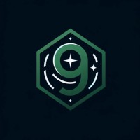 9Stars logo - Similar company to Econbridge