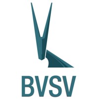 BVSV e.V. logo - Similar company to Windschatten E.V.