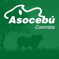Asocebú Colombia logo - Similar company to Subastar®