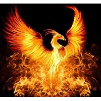 Phoenixx Rising Gifts & Apparel logo - Similar company to Top Drawer Gifts