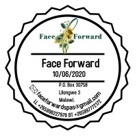 Face Forward Group logo - Similar company to Nasle Technologies Ltd