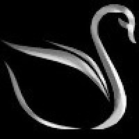 Magnifique Consulting