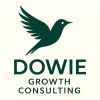 Dowie Growth Consulting logo - Similar company to Inglorious