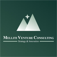 Melliti Venture Consulting logo - Similar company to Deep Detective