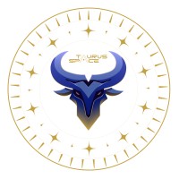 Taurus Space logo - Similar company to Mestrado Em Engenharia De Sistemas Computacionais Críticos
