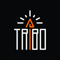 Grupo Tribo logo - Similar company to Arezza