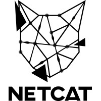 Netcat IT Sweden AB logo - Similar company to 31173 Services Ab