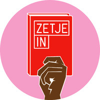 Stichting Zetje In logo - Similar company to Ninsee