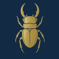 Beetle Box logo - Similar company to Beetlebox